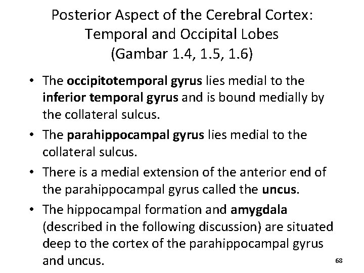 Posterior Aspect of the Cerebral Cortex: Temporal and Occipital Lobes (Gambar 1. 4, 1.