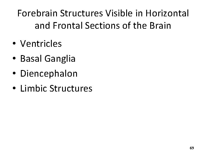 Forebrain Structures Visible in Horizontal and Frontal Sections of the Brain • • Ventricles
