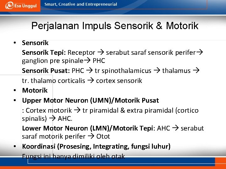 Perjalanan Impuls Sensorik & Motorik • Sensorik Tepi: Receptor serabut saraf sensorik perifer ganglion