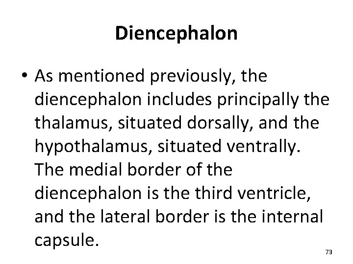 Diencephalon • As mentioned previously, the diencephalon includes principally the thalamus, situated dorsally, and