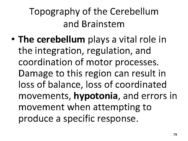 Topography of the Cerebellum and Brainstem • The cerebellum plays a vital role in