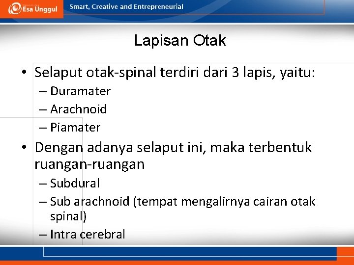 Lapisan Otak • Selaput otak-spinal terdiri dari 3 lapis, yaitu: – Duramater – Arachnoid