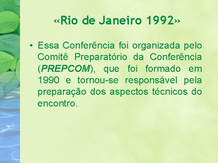  «Rio de Janeiro 1992» • Essa Conferência foi organizada pelo Comitê Preparatório da