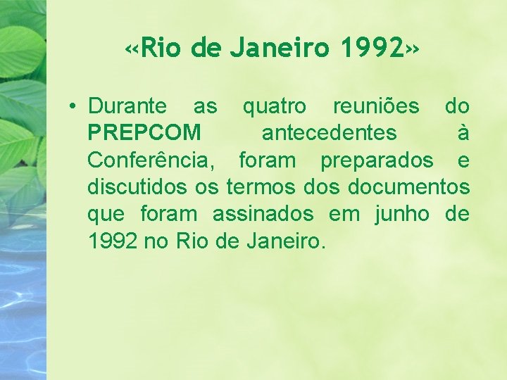  «Rio de Janeiro 1992» • Durante as quatro reuniões do PREPCOM antecedentes à