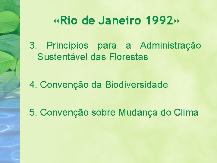  «Rio de Janeiro 1992» 3. Princípios para a Administração Sustentável das Florestas 4.