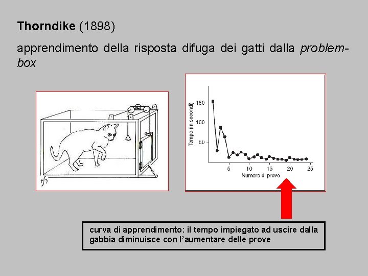 Thorndike (1898) apprendimento della risposta difuga dei gatti dalla problembox curva di apprendimento: il