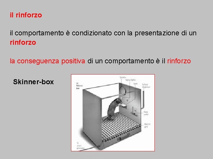 il rinforzo il comportamento è condizionato con la presentazione di un rinforzo la conseguenza