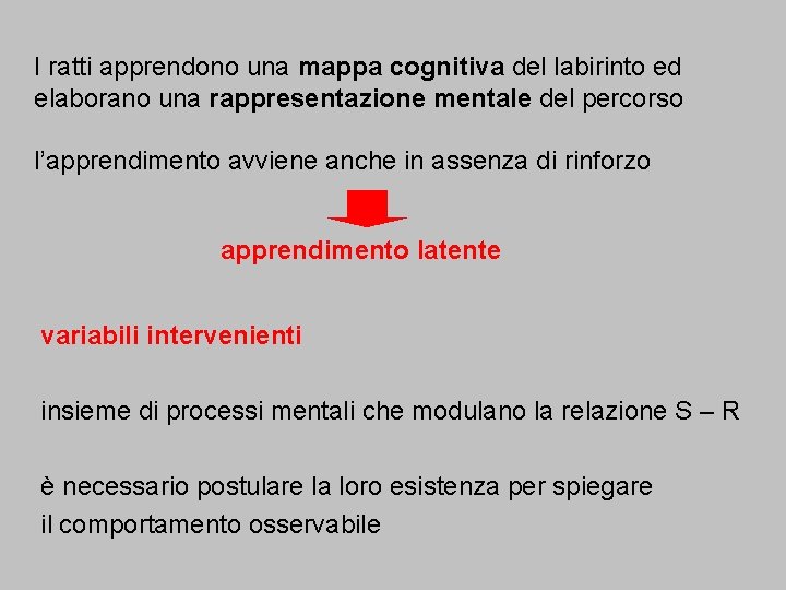 I ratti apprendono una mappa cognitiva del labirinto ed elaborano una rappresentazione mentale del