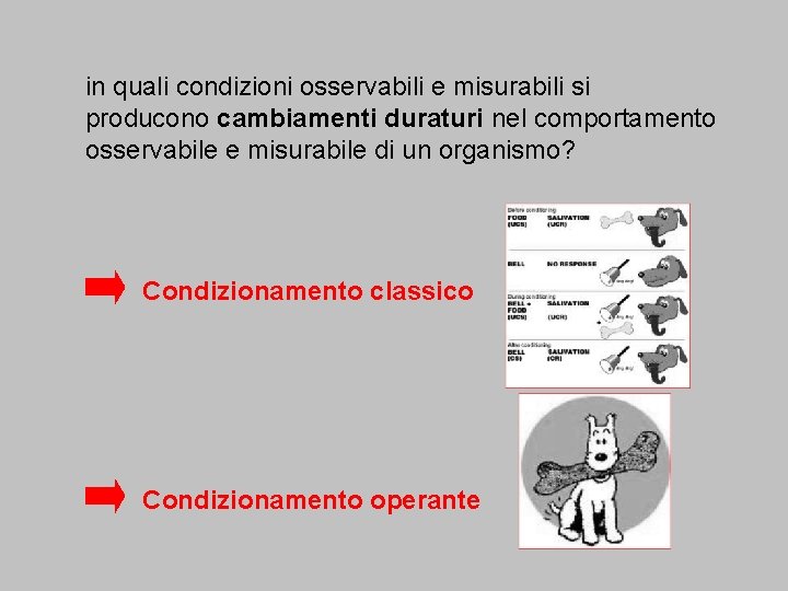 in quali condizioni osservabili e misurabili si producono cambiamenti duraturi nel comportamento osservabile e