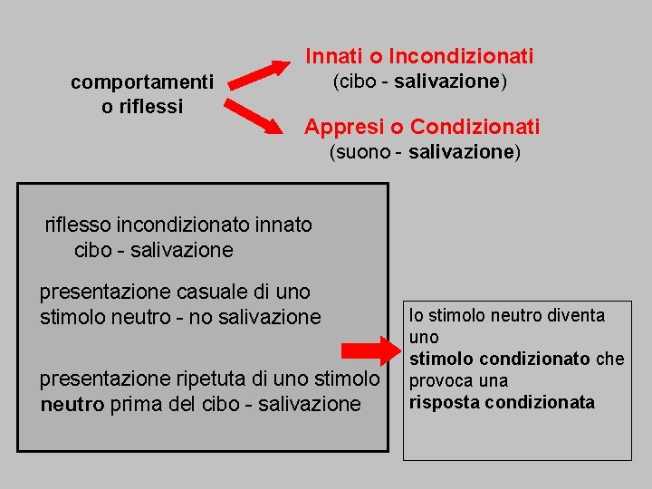 Innati o Incondizionati comportamenti o riflessi (cibo - salivazione) Appresi o Condizionati (suono -