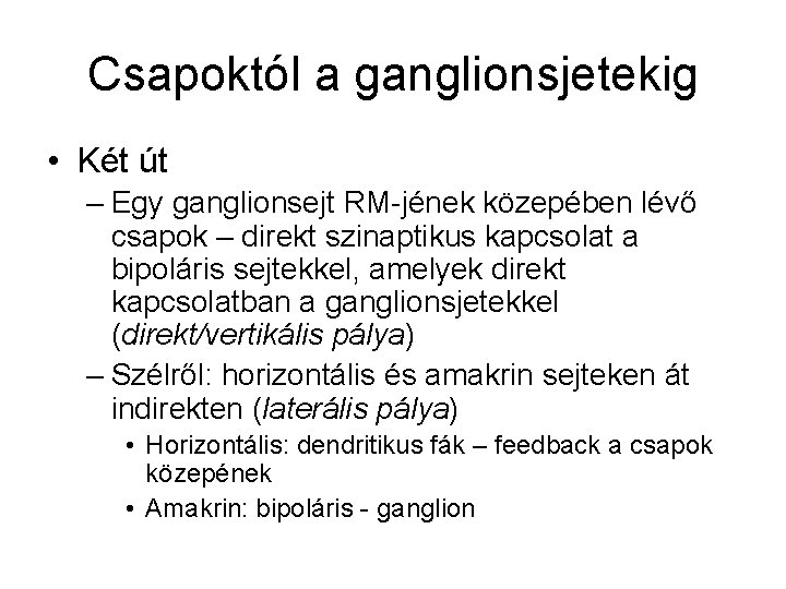 Csapoktól a ganglionsjetekig • Két út – Egy ganglionsejt RM-jének közepében lévő csapok –