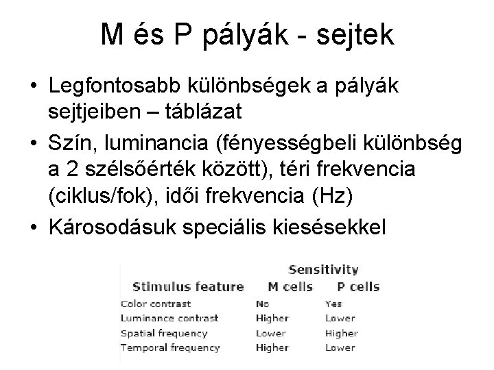 M és P pályák - sejtek • Legfontosabb különbségek a pályák sejtjeiben – táblázat