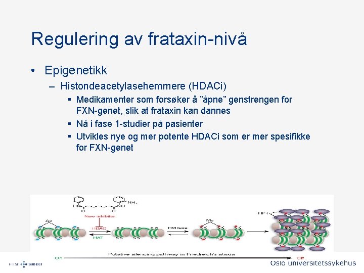 Regulering av frataxin-nivå • Epigenetikk – Histondeacetylasehemmere (HDACi) § Medikamenter som forsøker å ”åpne” Regulering av frataxin-nivå • Epigenetikk – Histondeacetylasehemmere (HDACi) § Medikamenter som forsøker å ”åpne”