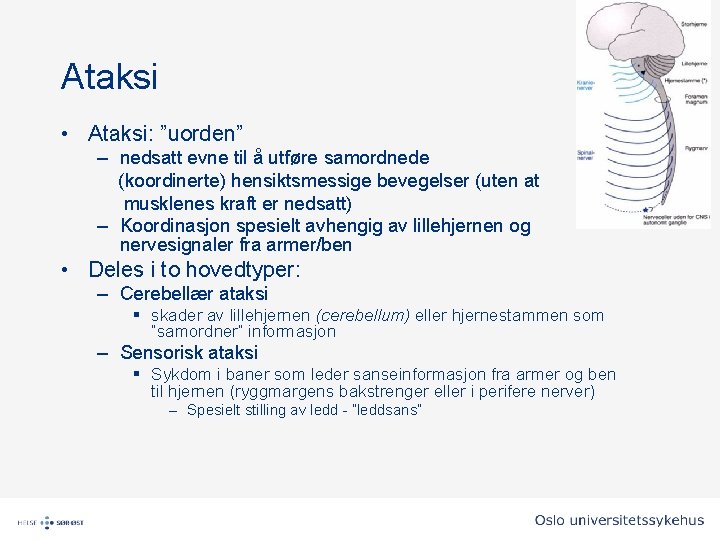 Ataksi • Ataksi: ”uorden” – nedsatt evne til å utføre samordnede (koordinerte) hensiktsmessige bevegelser Ataksi • Ataksi: ”uorden” – nedsatt evne til å utføre samordnede (koordinerte) hensiktsmessige bevegelser