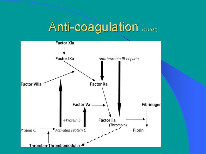 Anti-coagulation (Subar) 