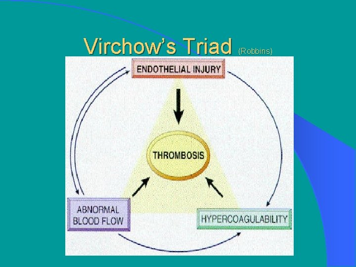 Virchow’s Triad (Robbins) 