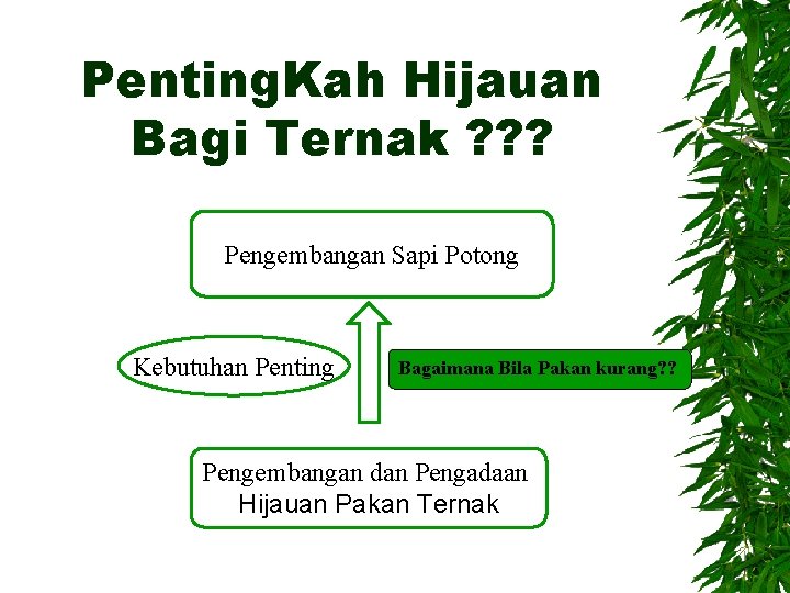 Penting. Kah Hijauan Bagi Ternak ? ? ? Pengembangan Sapi Potong Kebutuhan Penting Bagaimana