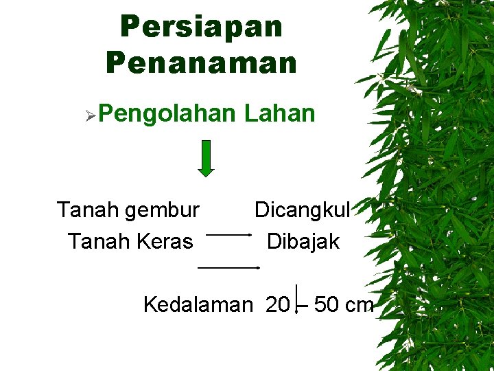 Persiapan Penanaman ØPengolahan Tanah gembur Tanah Keras Lahan Dicangkul Dibajak Kedalaman 20 – 50