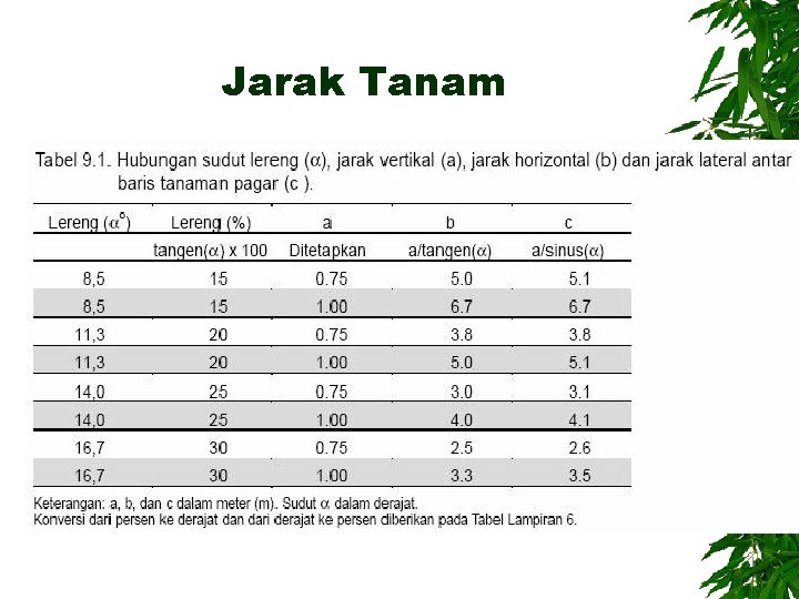 Jarak Tanam 