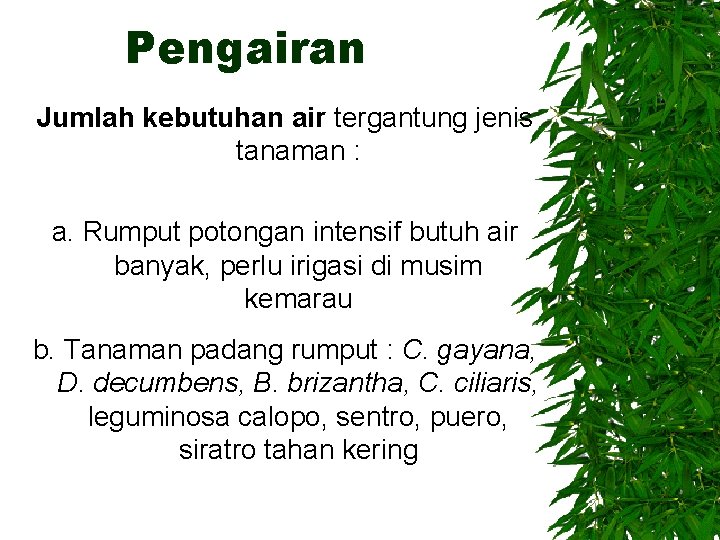 Pengairan Jumlah kebutuhan air tergantung jenis tanaman : a. Rumput potongan intensif butuh air