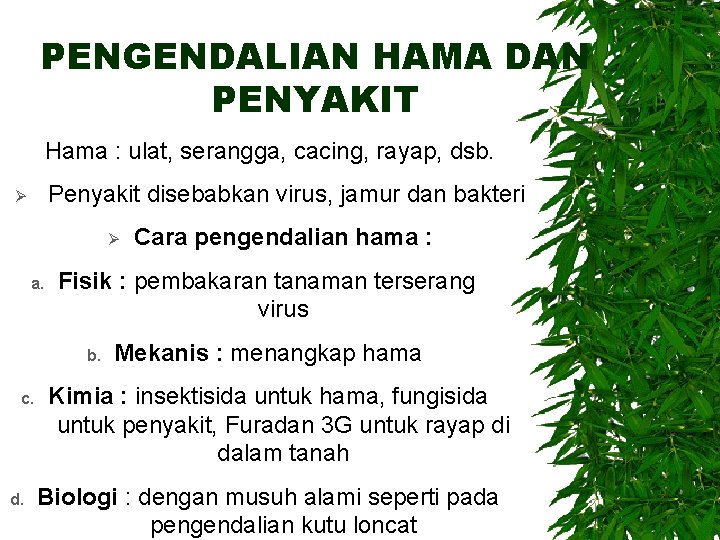 PENGENDALIAN HAMA DAN PENYAKIT Hama : ulat, serangga, cacing, rayap, dsb. Penyakit disebabkan virus,