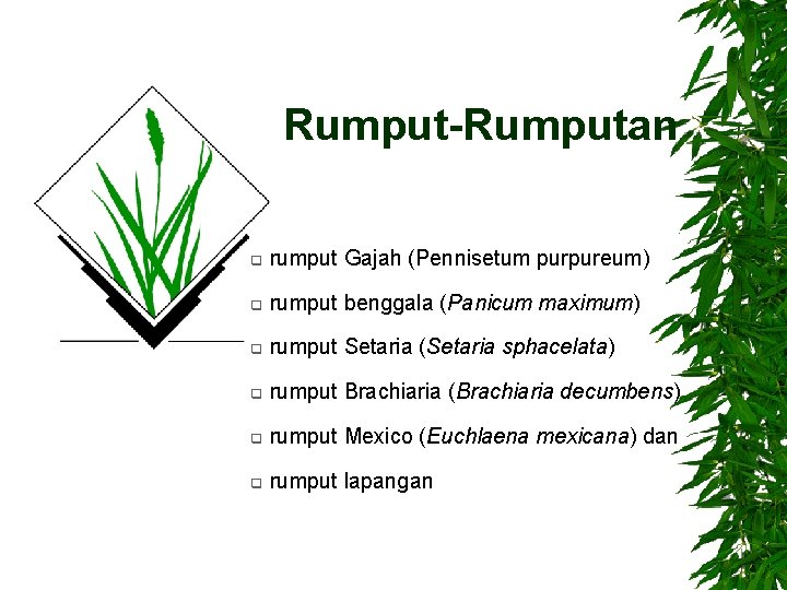 Rumput-Rumputan q rumput Gajah (Pennisetum purpureum) q rumput benggala (Panicum maximum) q rumput Setaria