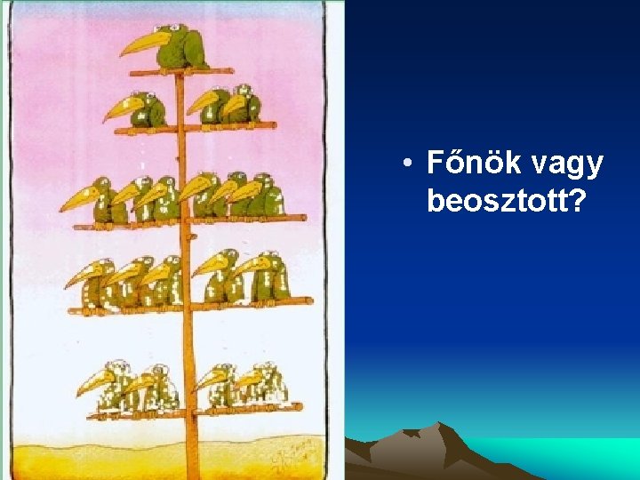  • • Főnök vagy beosztott? 