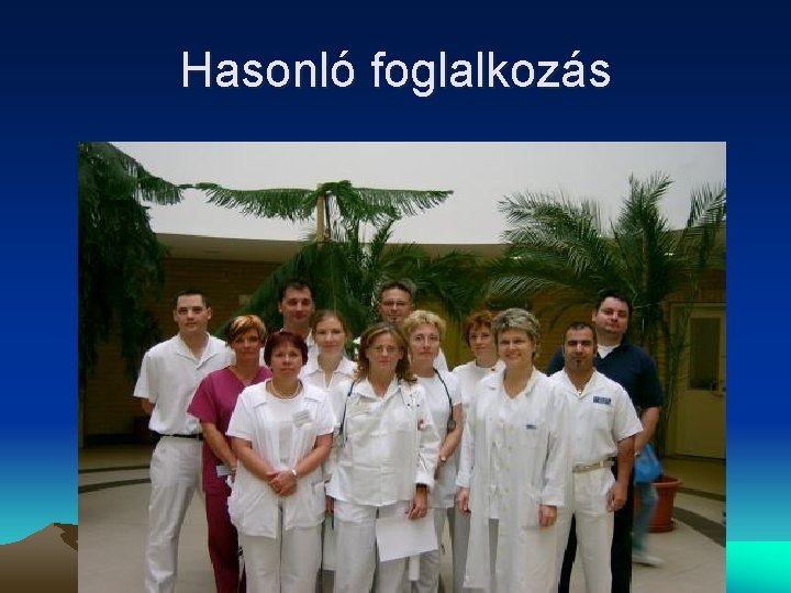 Hasonló foglalkozás 
