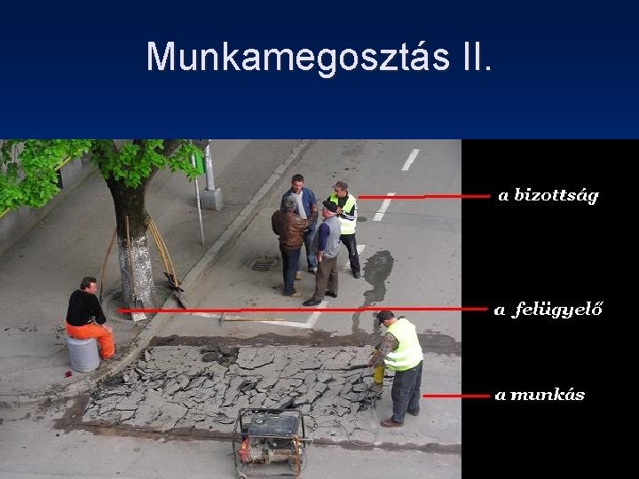 Munkamegosztás II. 