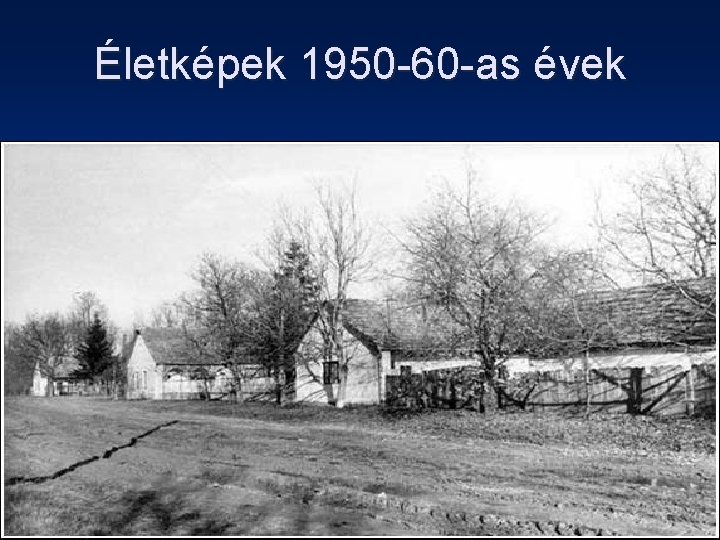 Életképek 1950 -60 -as évek 