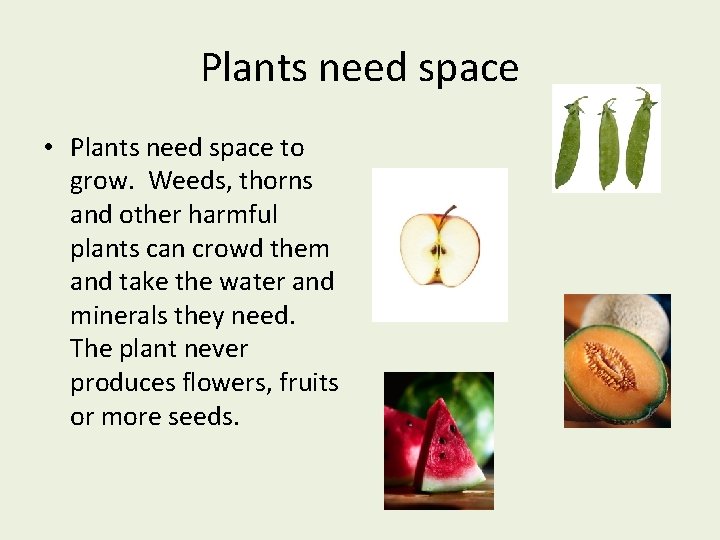 Plants need space • Plants need space to grow. Weeds, thorns and other harmful