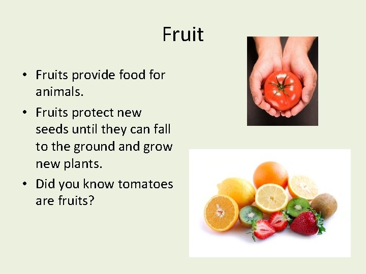 Fruit • Fruits provide food for animals. • Fruits protect new seeds until they