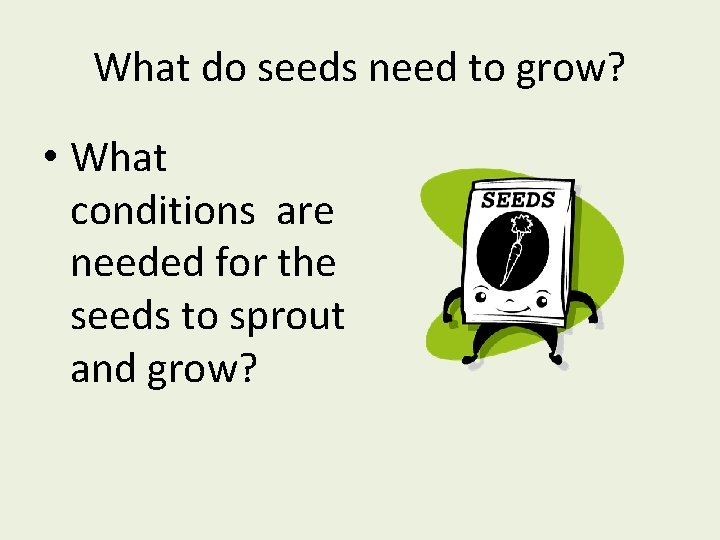 What do seeds need to grow? • What conditions are needed for the seeds