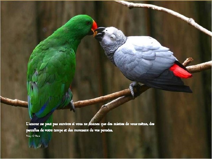 L'amour ne peut pas survivre si vous ne donnez que des miettes de vous-même,