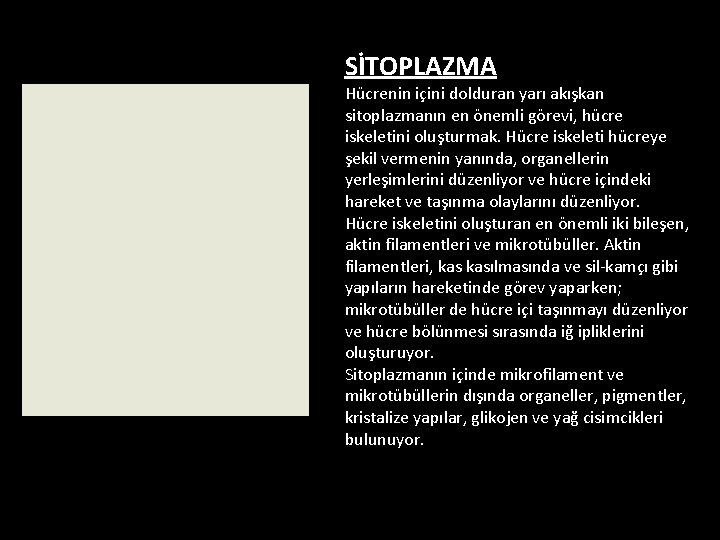 SİTOPLAZMA Hücrenin içini dolduran yarı akışkan sitoplazmanın en önemli görevi, hücre iskeletini oluşturmak. Hücre