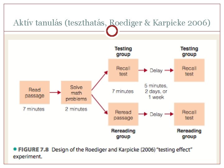 Aktív tanulás (teszthatás, Roediger & Karpicke 2006) 