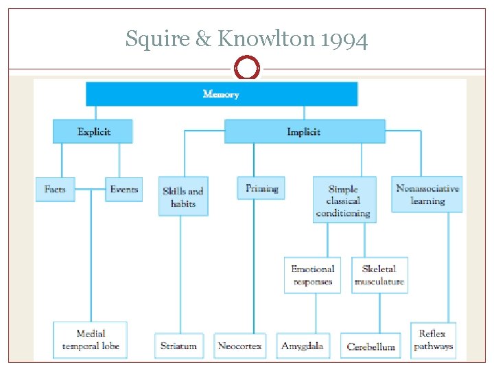 Squire & Knowlton 1994 