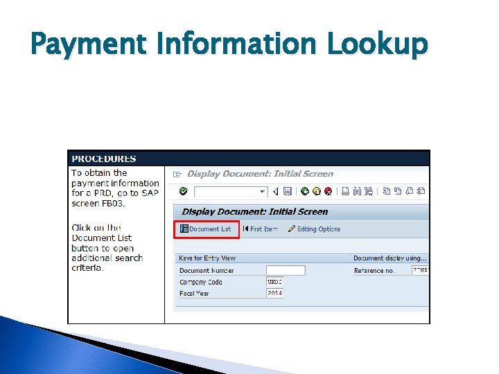 Payment Information Lookup 