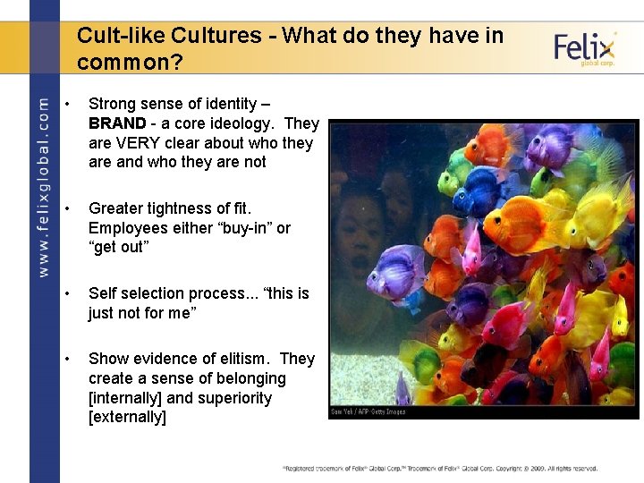 Cult-like Cultures - What do they have in common? • Strong sense of identity