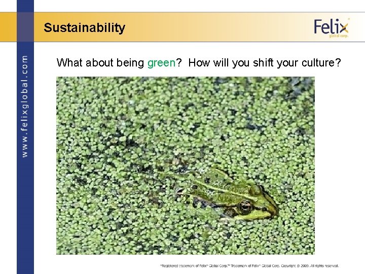 Sustainability What about being green? How will you shift your culture? 