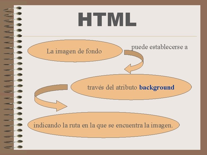 HTML La imagen de fondo puede establecerse a través del atributo background indicando la