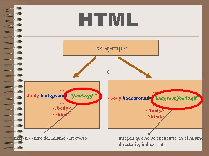 HTML Por ejemplo o. . . <body background="fondo. gif">. . . </body> </html> Imagen