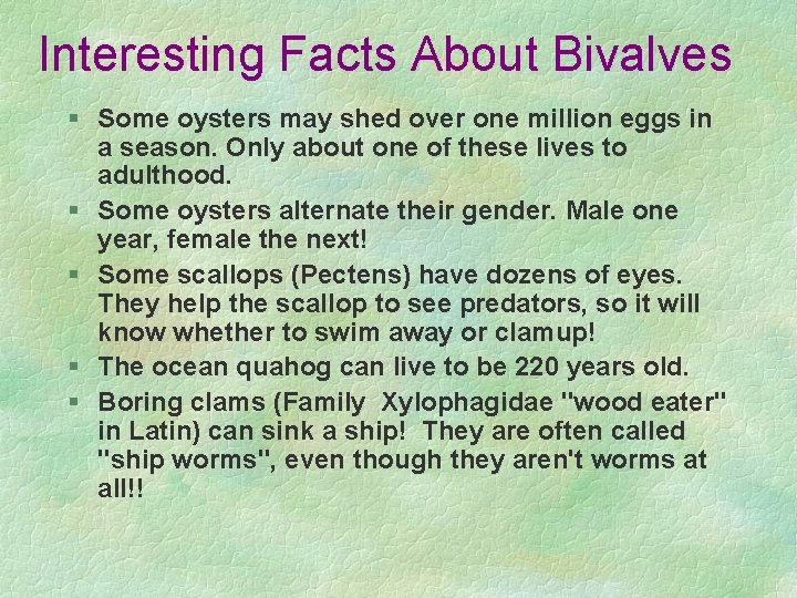Interesting Facts About Bivalves § Some oysters may shed over one million eggs in Interesting Facts About Bivalves § Some oysters may shed over one million eggs in