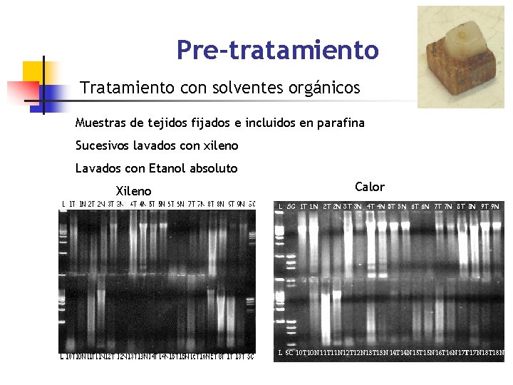 Pre-tratamiento Tratamiento con solventes orgánicos Muestras de tejidos fijados e incluidos en parafina Sucesivos