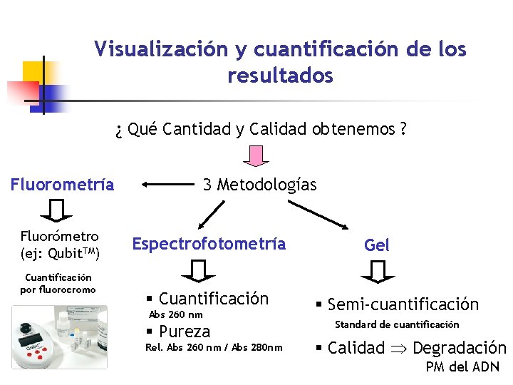Visualización y cuantificación de los resultados ¿ Qué Cantidad y Calidad obtenemos ? Fluorometría