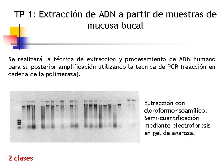 TP 1: Extracción de ADN a partir de muestras de mucosa bucal Se realizará