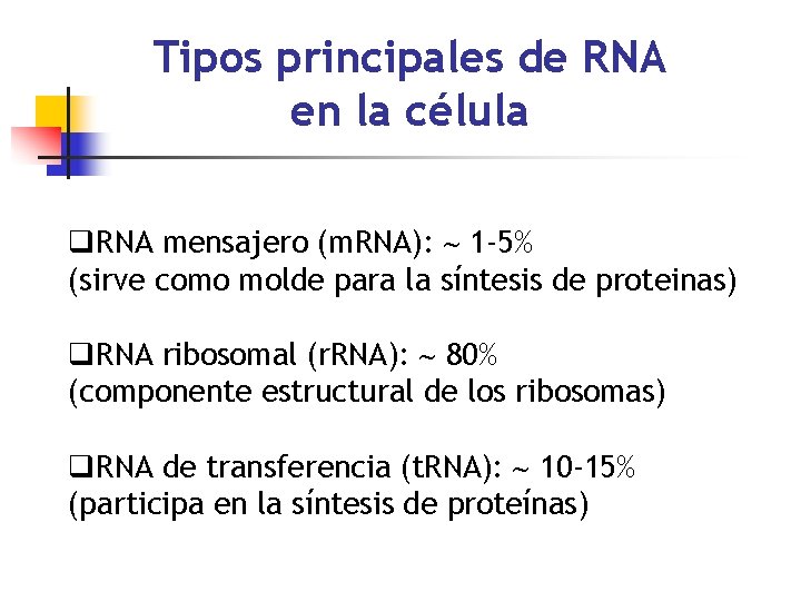 Tipos principales de RNA en la célula q. RNA mensajero (m. RNA): 1 -5%