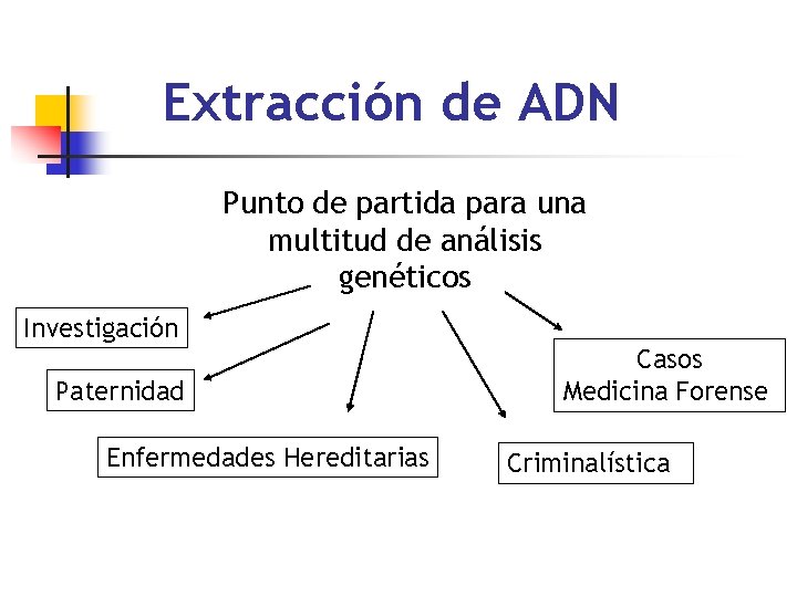 Extracción de ADN Punto de partida para una multitud de análisis genéticos Investigación Paternidad