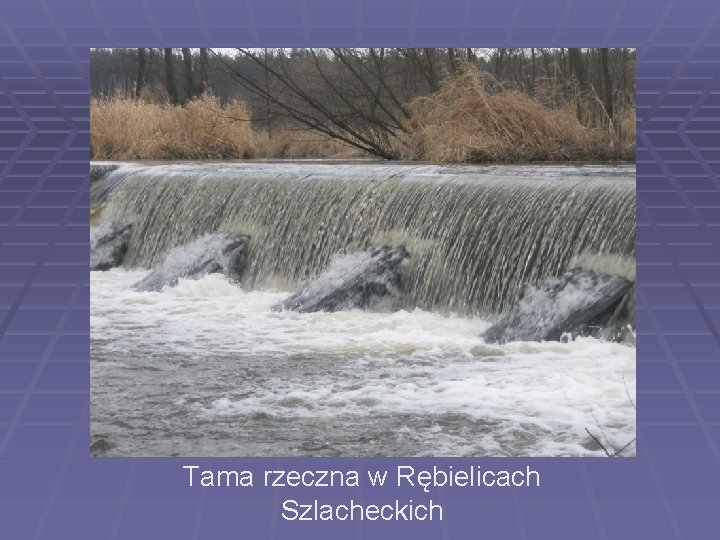 Tama rzeczna w Rębielicach Szlacheckich 