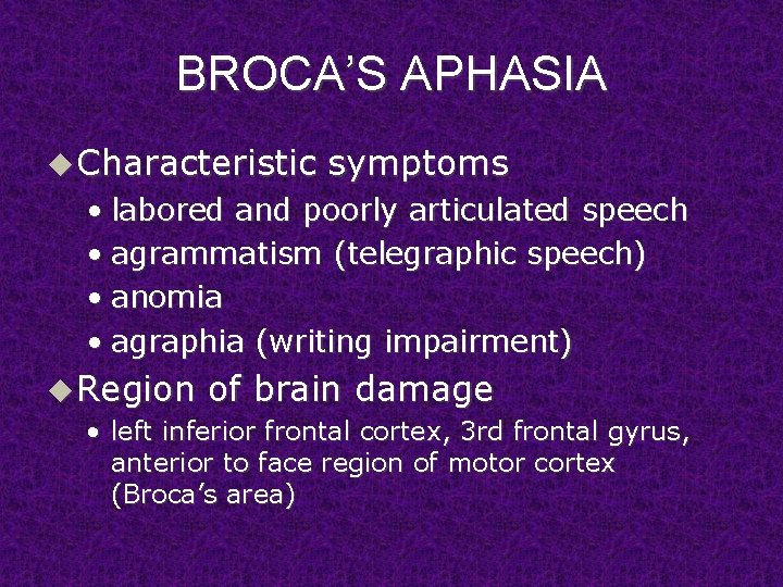 BROCA’S APHASIA u Characteristic symptoms • labored and poorly articulated speech • agrammatism (telegraphic